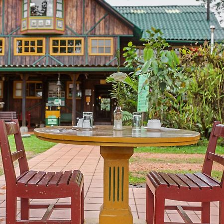Sachatamia Lodge Миндо Экстерьер фото