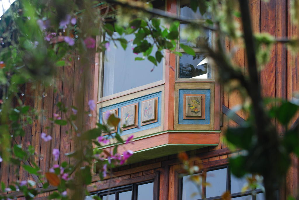 Sachatamia Lodge Миндо Экстерьер фото